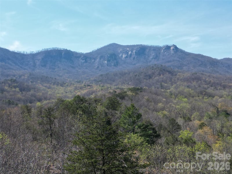 145 White Pine Dr, Lake Lure, NC 28746