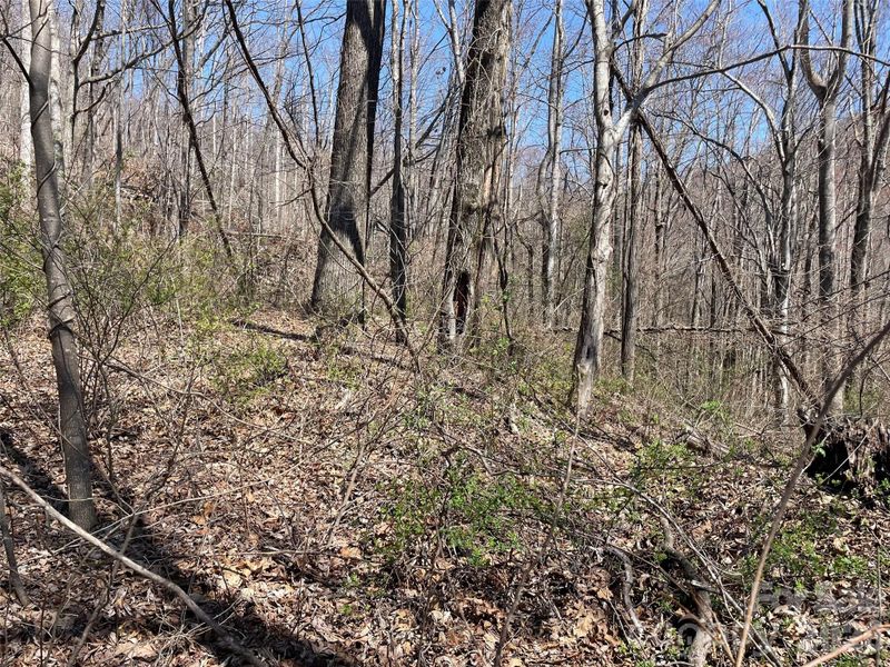 182 Old Mountain Ps, Hendersonville, NC 28792