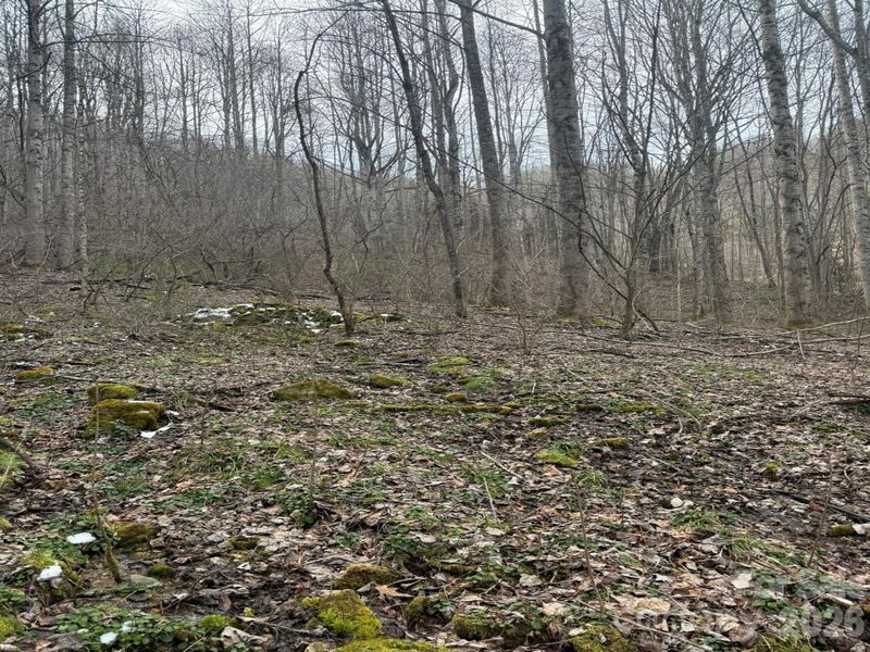 TBD 1.21 Acres Jass Cove Rd, Marshall, NC 28753