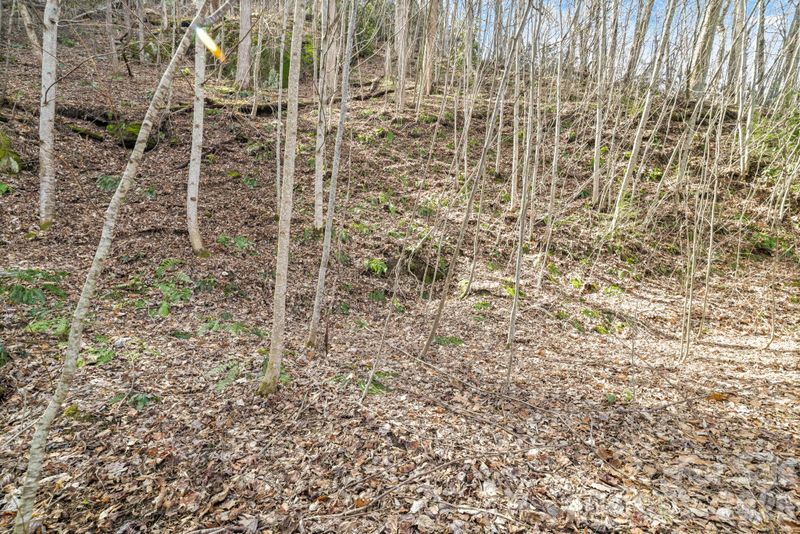 00 Lady Bug Ln W #26, Maggie Valley, NC 28751