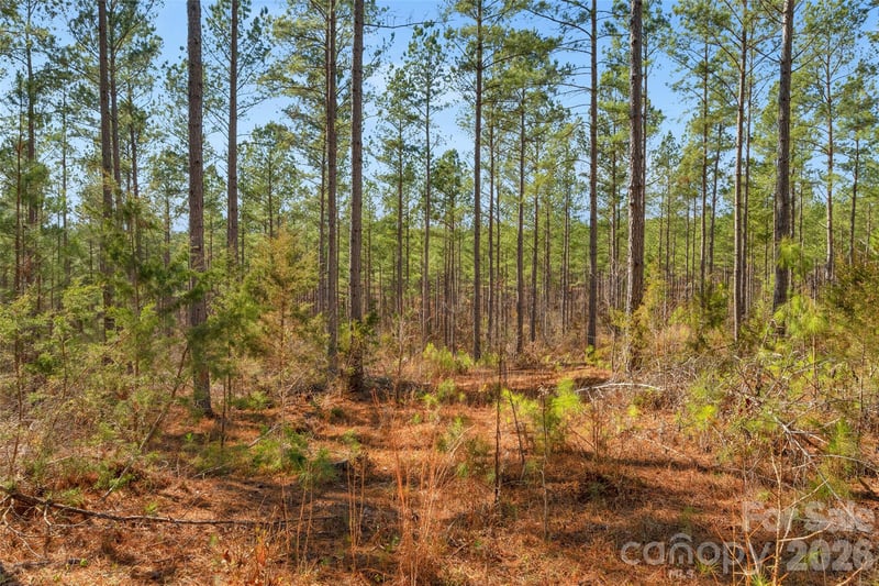 000 Peacehaven Rd #2, Mcconnells, SC 29726