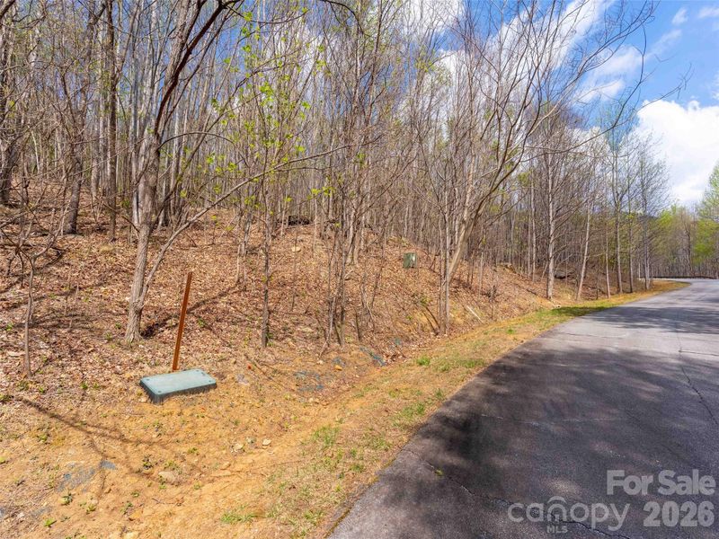 Lot 196 Cherry Hill #196, Mill Spring, NC 28756