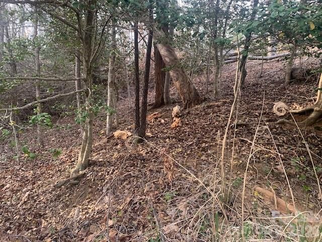 7.67 AC. Holbert Cove Rd #7.67 AC., Saluda, NC 28773