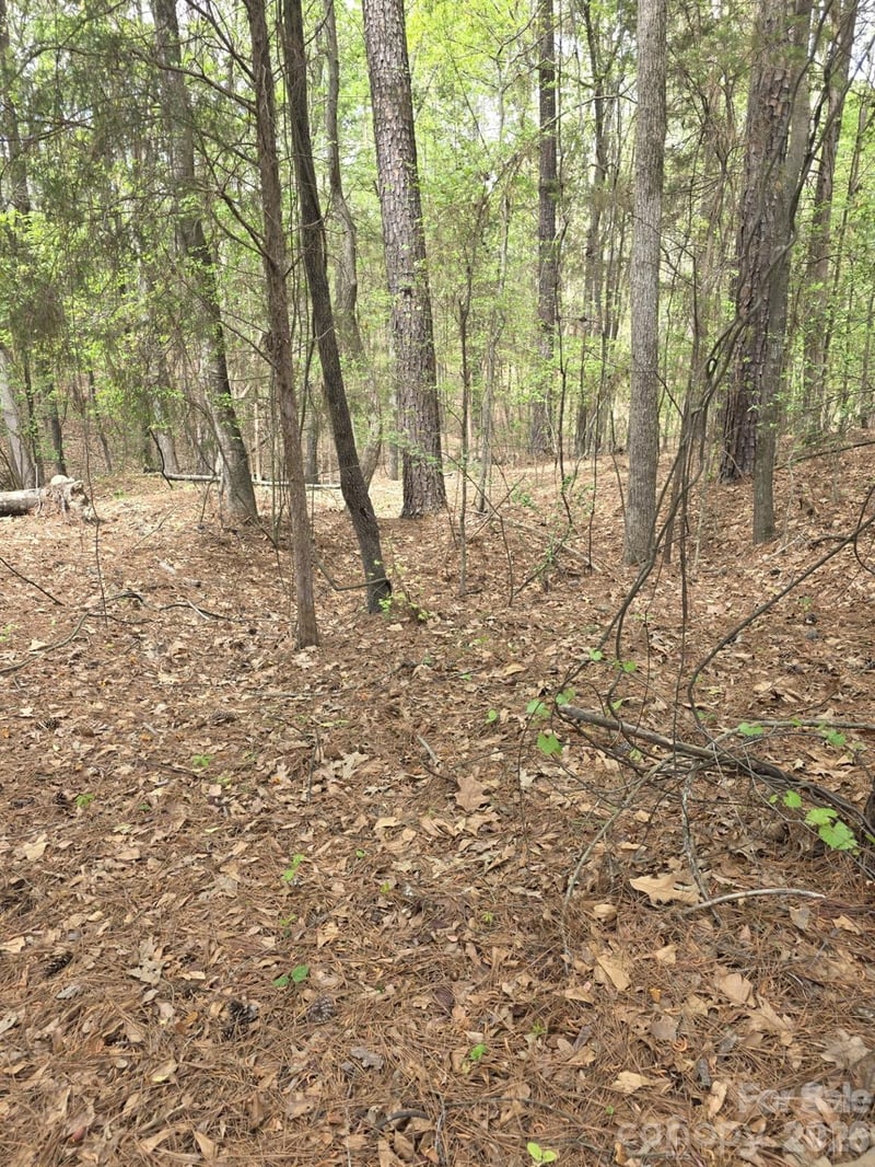 2093 Lometa Rd, York, SC 29745