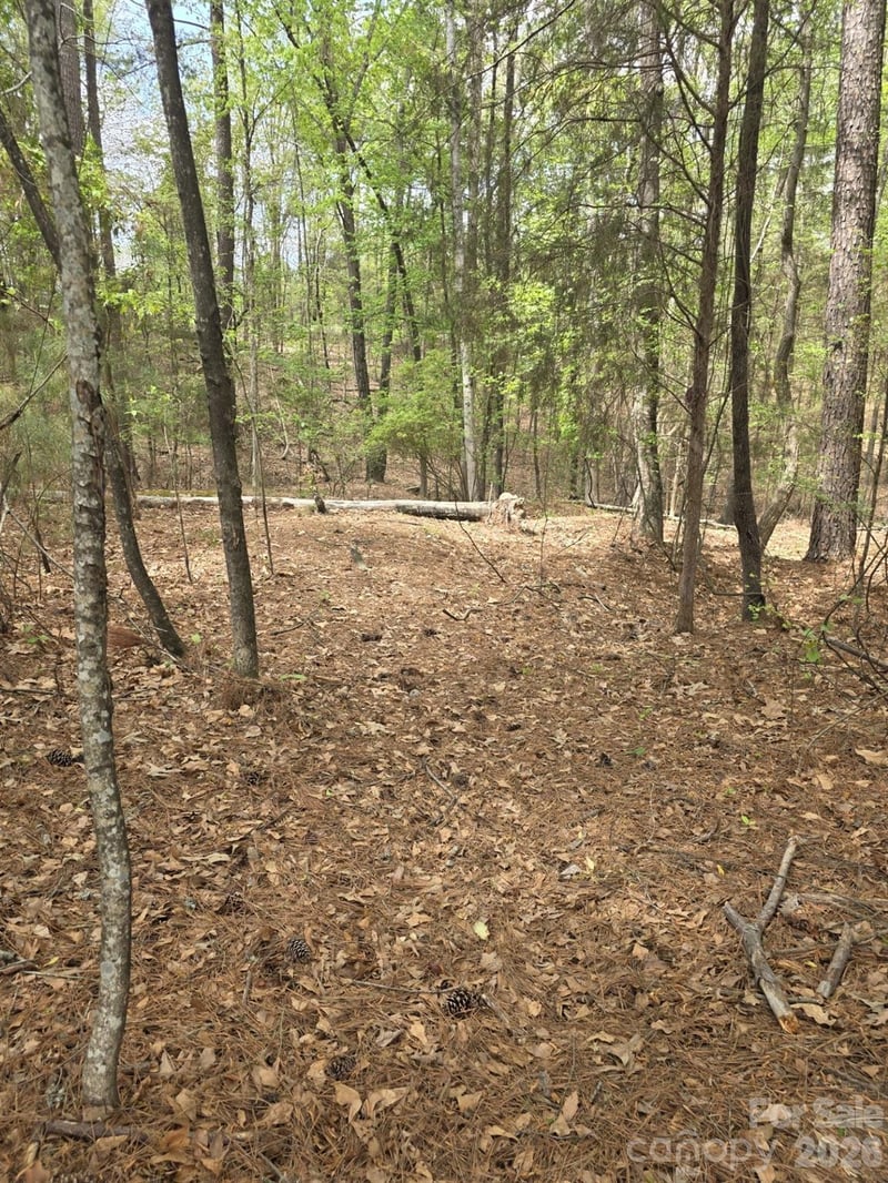 2093 Lometa Rd, York, SC 29745