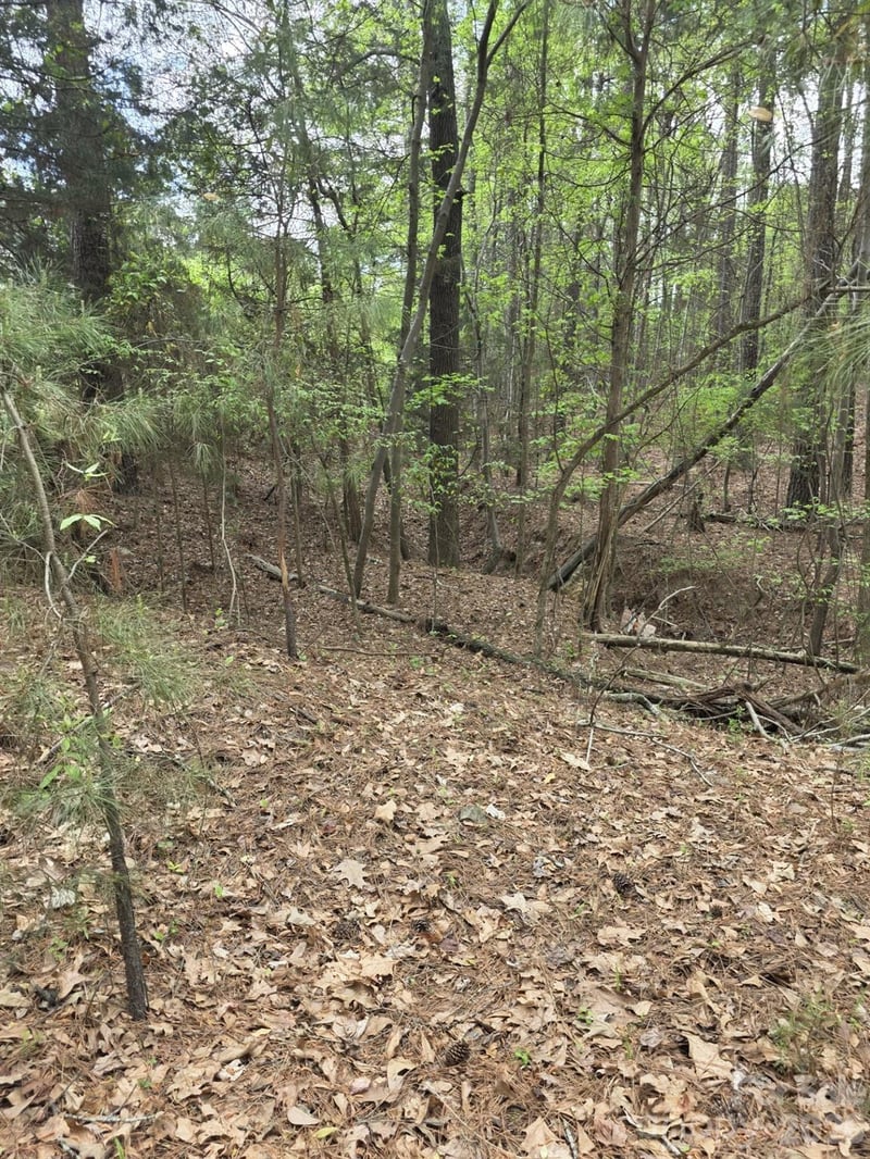 2093 Lometa Rd, York, SC 29745