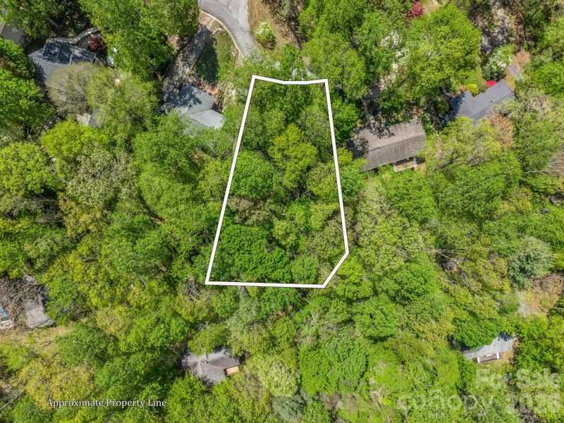 99999 Mountain Site Ln, Asheville, NC 28803