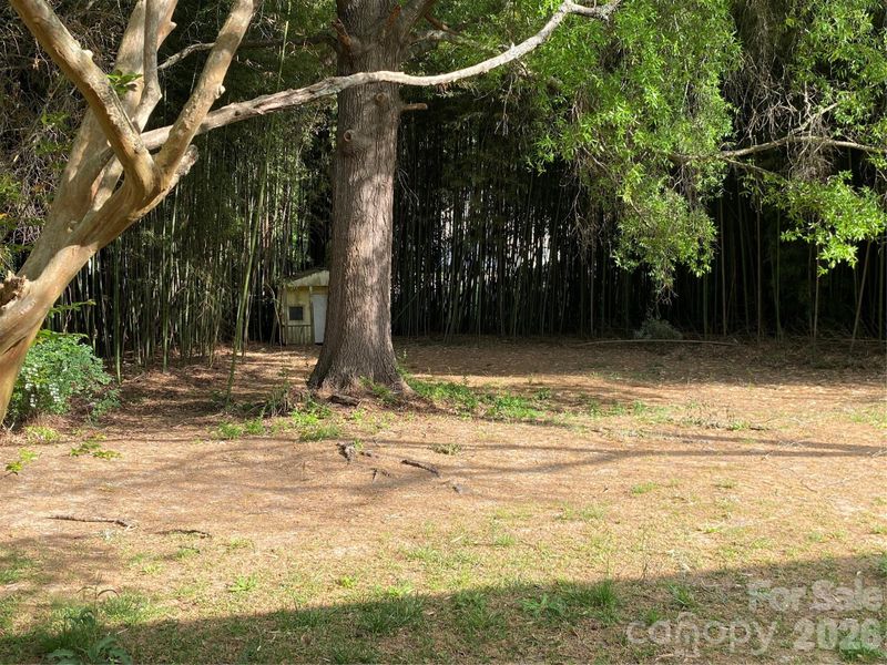 102 Mcdowell St, Great Falls, SC 29055