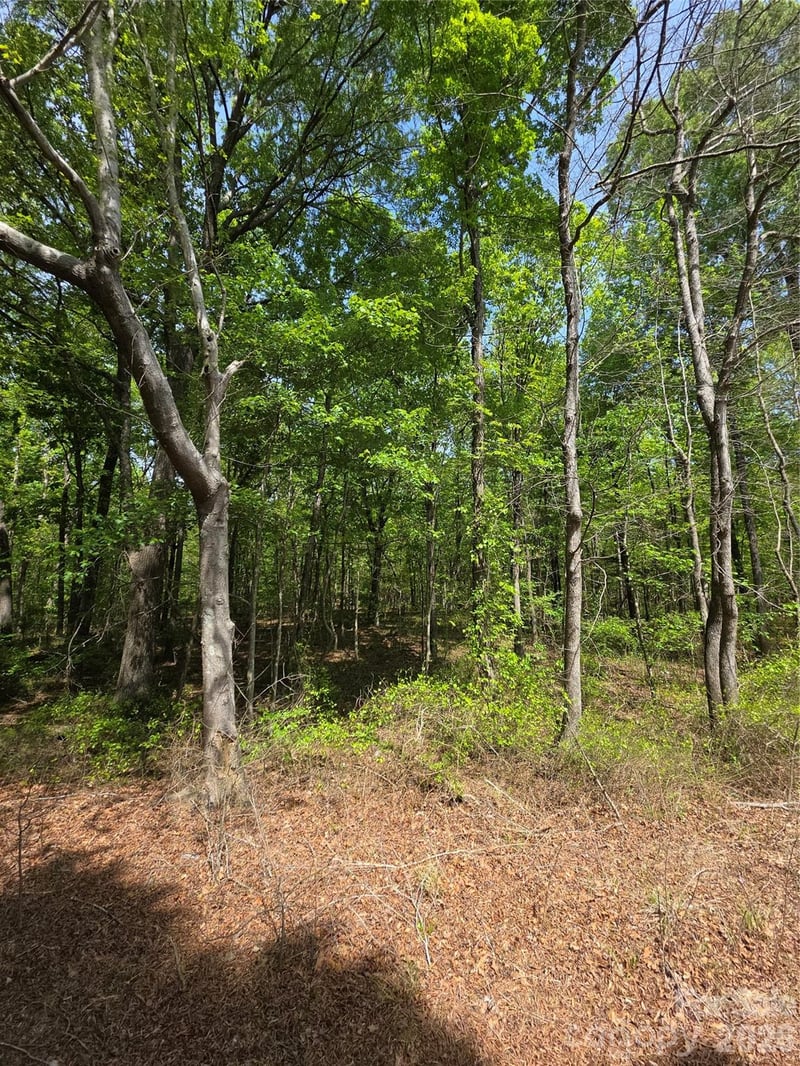 Lot 5 Wolf Pond Rd, Monroe, NC 28112