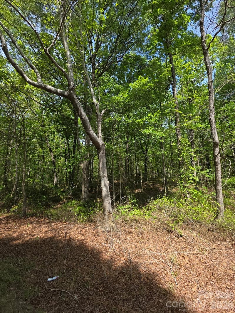 Lot 5 Wolf Pond Rd, Monroe, NC 28112