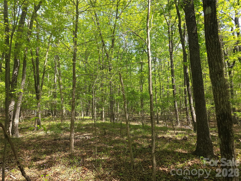 Lot 5 Wolf Pond Rd, Monroe, NC 28112