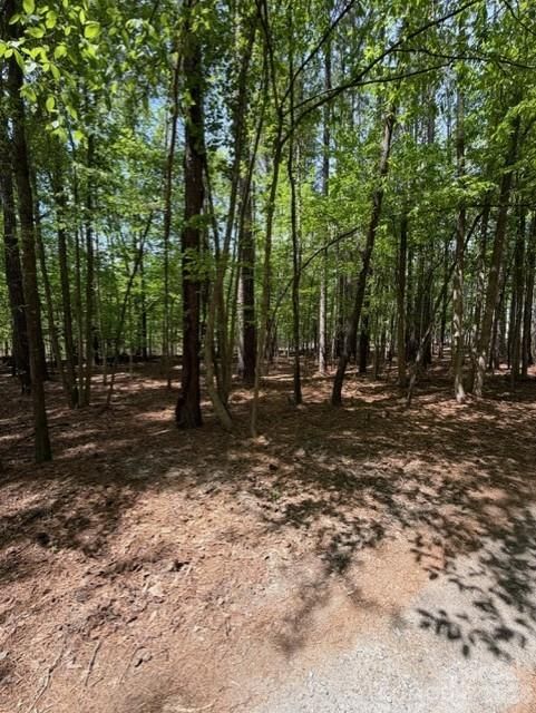 00 Truesdale Dr, Great Falls, SC 29055