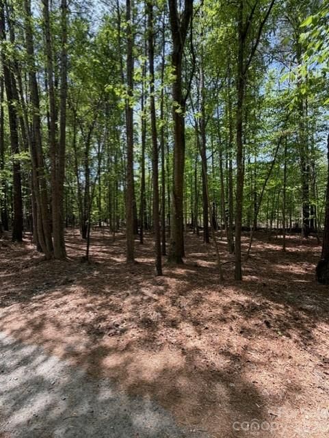 00 Truesdale Dr, Great Falls, SC 29055