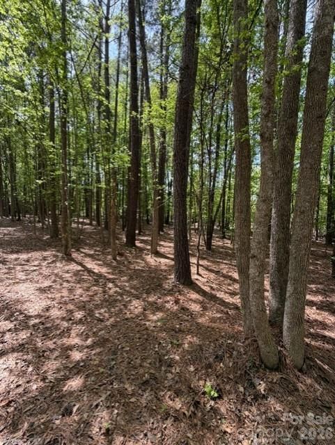00 Truesdale Dr, Great Falls, SC 29055