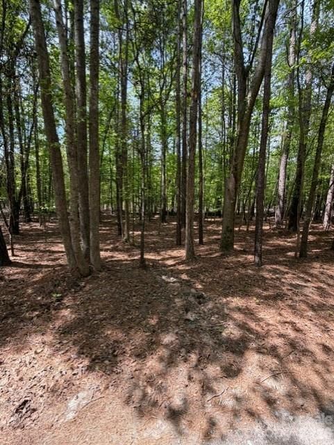 00 Truesdale Dr, Great Falls, SC 29055