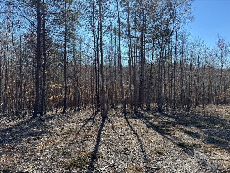 11490 King James Blvd #2, Davidson, NC 28036