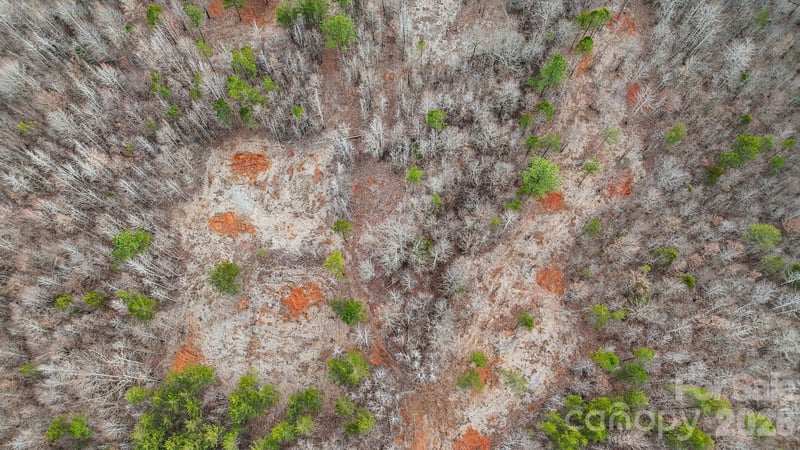 11550 King James Blvd, Davidson, NC 28036