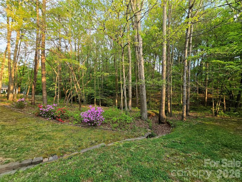 146 Misty Spring Rd, Troutman, NC 28166