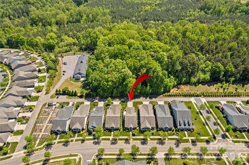 11516 Dublin Crescent Rd, Cornelius, NC 28031