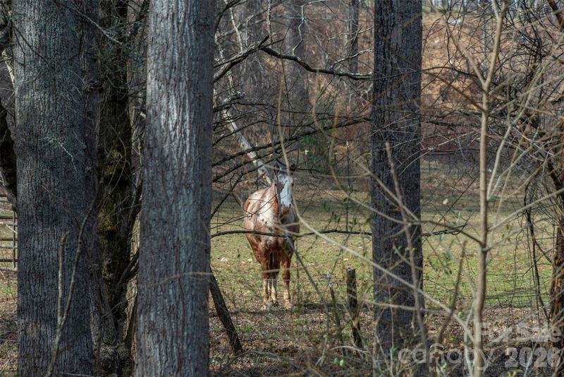 1720 Brevard Rd, Arden, NC 28704