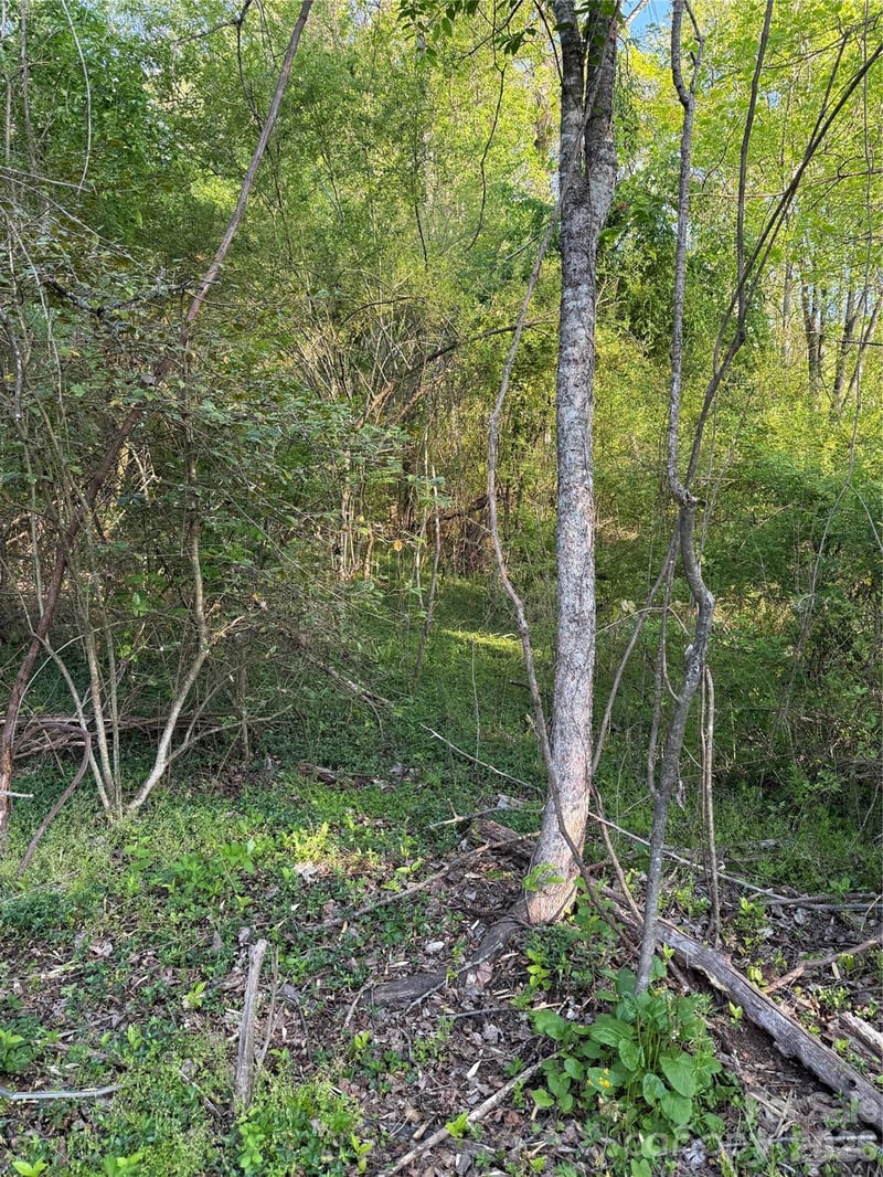 00 Cashiers Valley Rd #Tract 2, Brevard, NC 28712