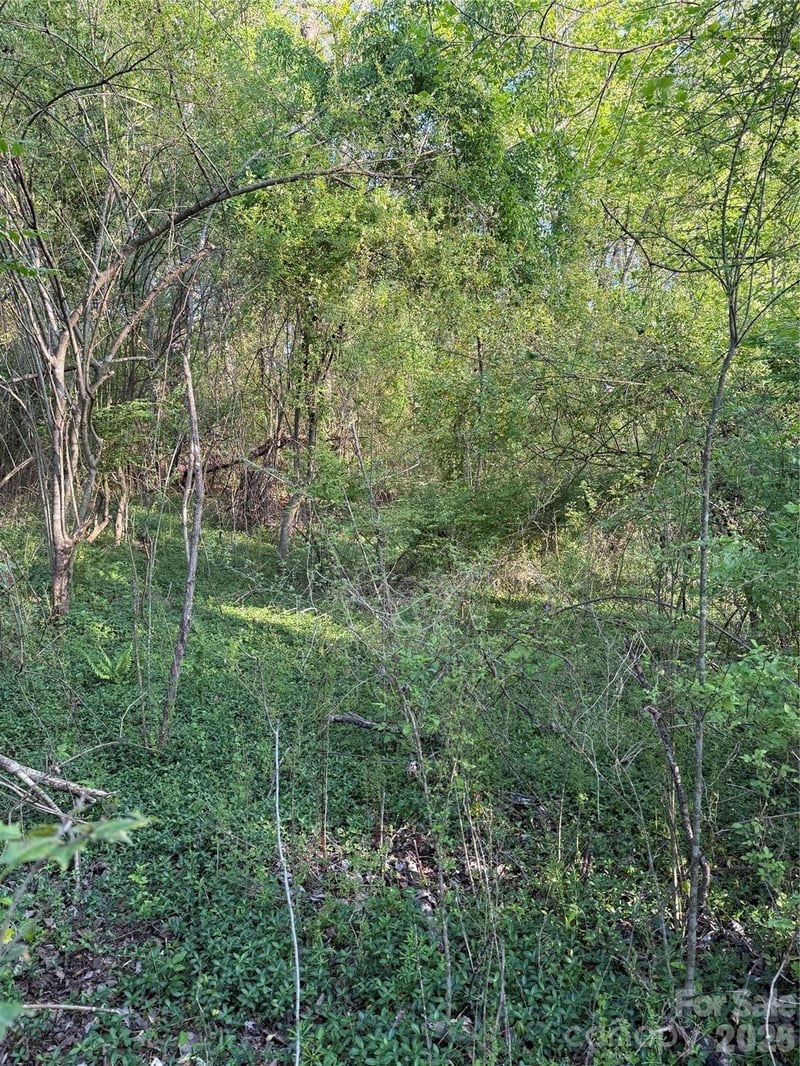 00 Cashiers Valley Rd #Tract 2, Brevard, NC 28712