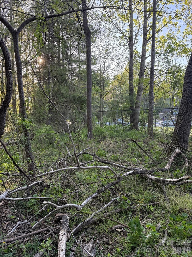 00 Cashiers Valley Rd #Tract 2, Brevard, NC 28712