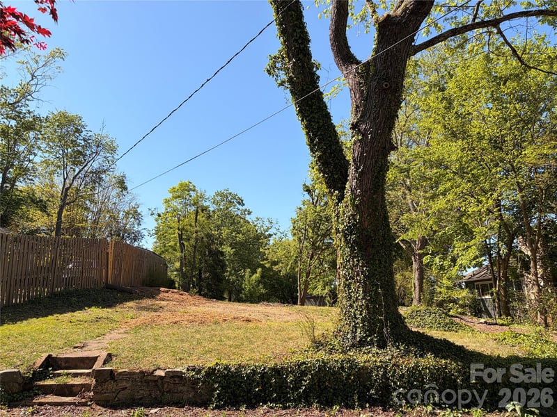 17 Irving St, Asheville, NC 28803