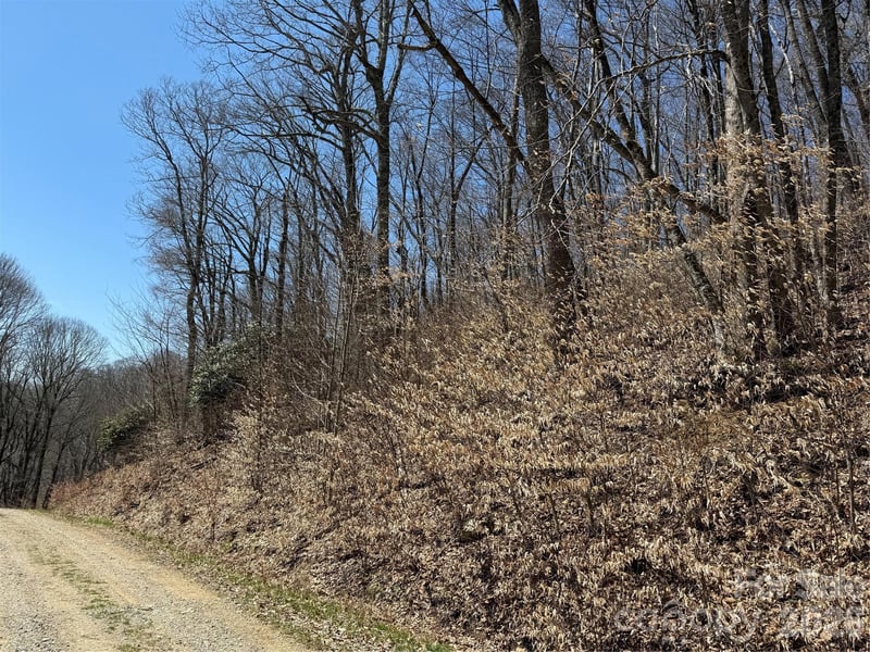 000 Granny Shepherd Rd Lot 3, Mars Hill, NC 28754