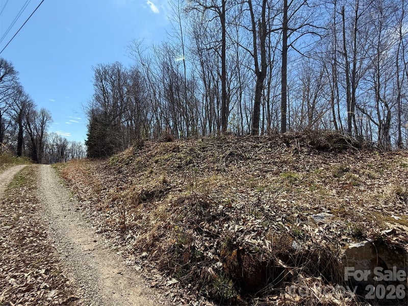 000 Granny Shepherd Rd lot 4, Mars Hill, NC 28754