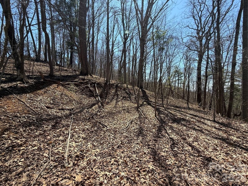 000 Granny Shepherd Rd lot 4, Mars Hill, NC 28754