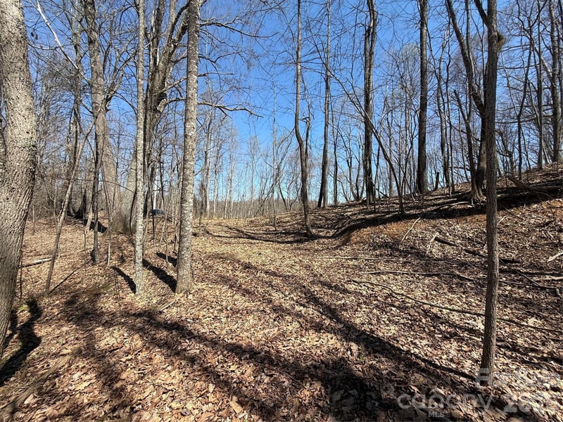 000 Granny Shepherd Rd lot 4, Mars Hill, NC 28754