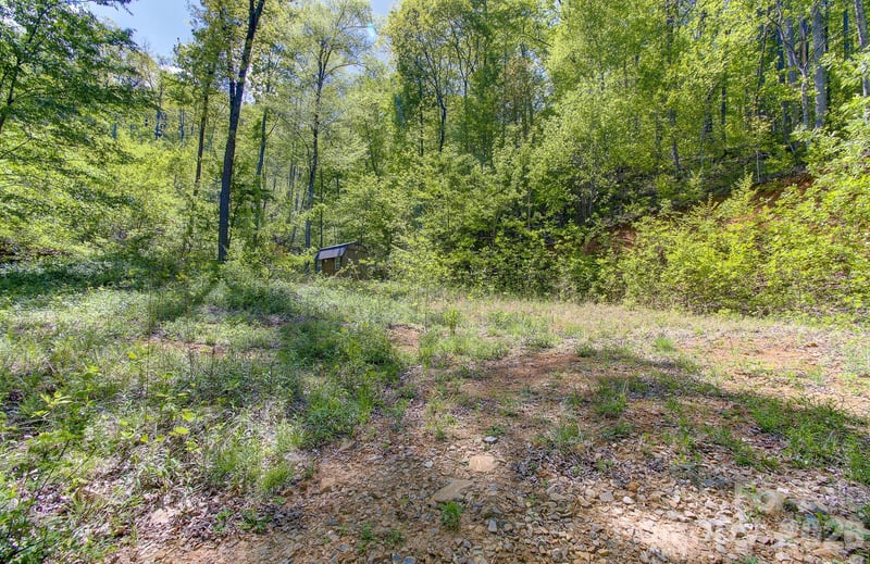 109 - 99999 Apgar Rd, Candler, NC 28715