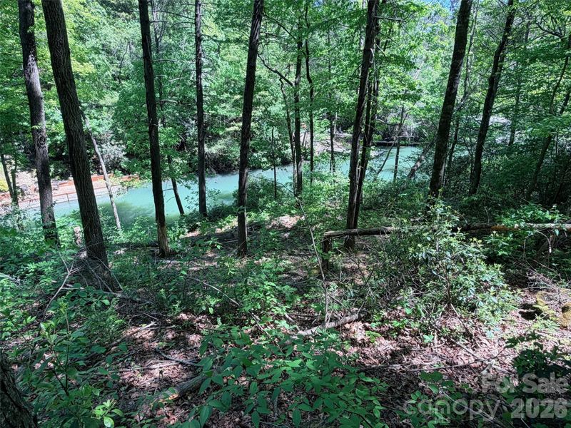 595 Quail Ridge Blvd, Lake Lure, NC 28746