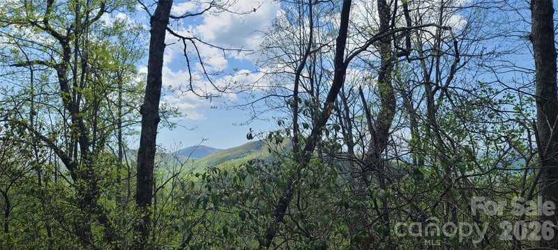 102 High Cliffs Trl, Black Mountain, NC 28711