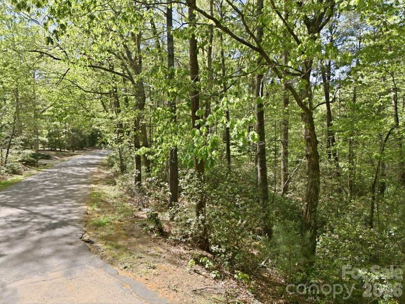 Lot 50 Huntington Rd #50, Lake Lure, NC 28746