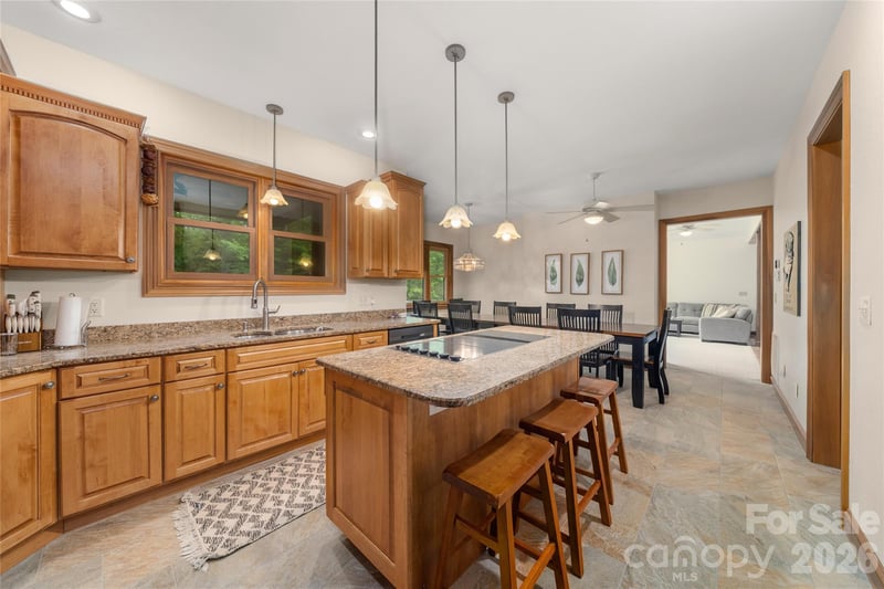176 Hemlock Ln, Lake Lure, NC 28746