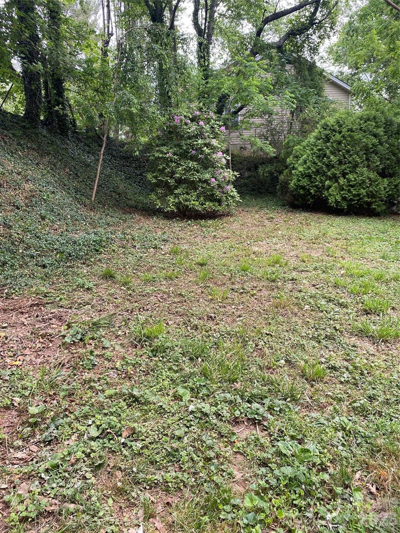 TBD Lilac St, Asheville, NC 28806