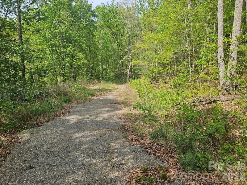 22 Graulich Ln #6, Candler, NC 28715