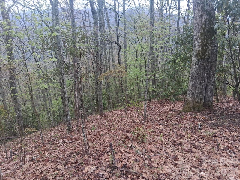 0000 Bear Creek Rd, Maggie Valley, NC 28721