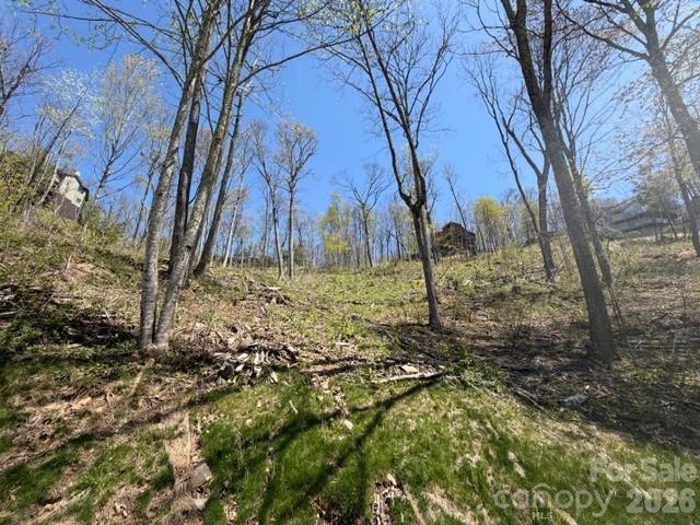 20 Cliff's Edge Dr, Burnsville, NC 28714