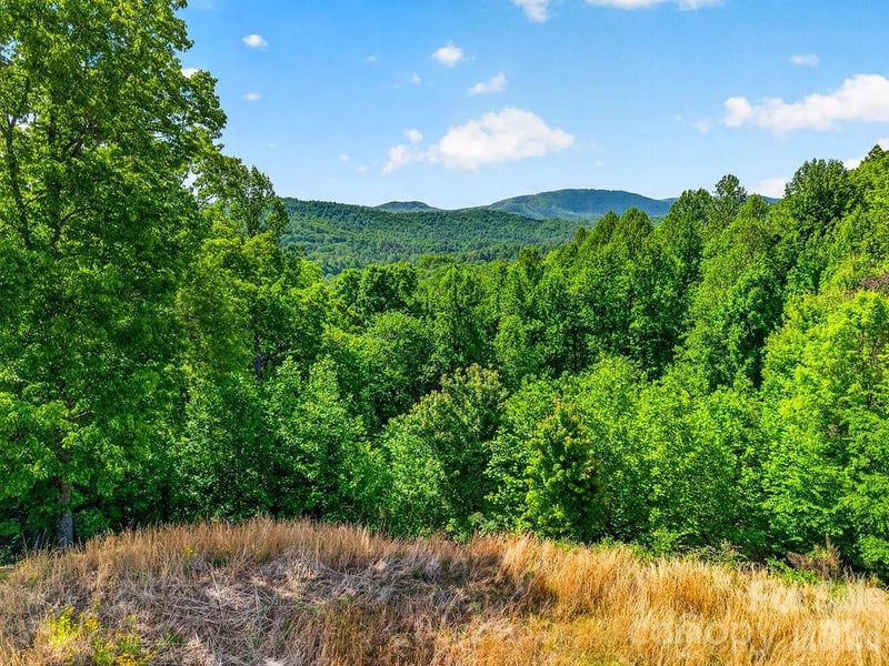51 Falls Ln, Hendersonville, NC 28739