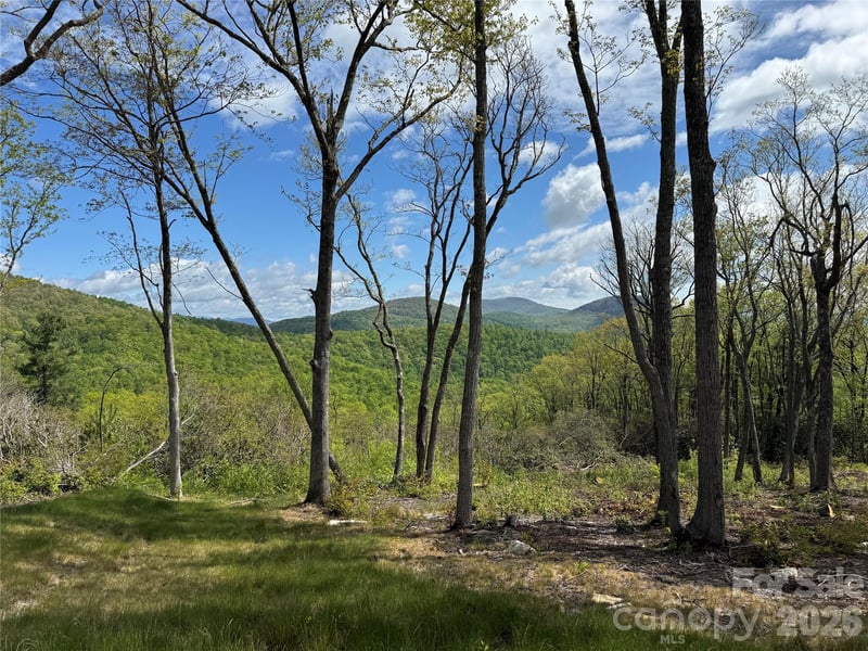 TBD E Garden Trl #45, Hendersonville, NC 28792