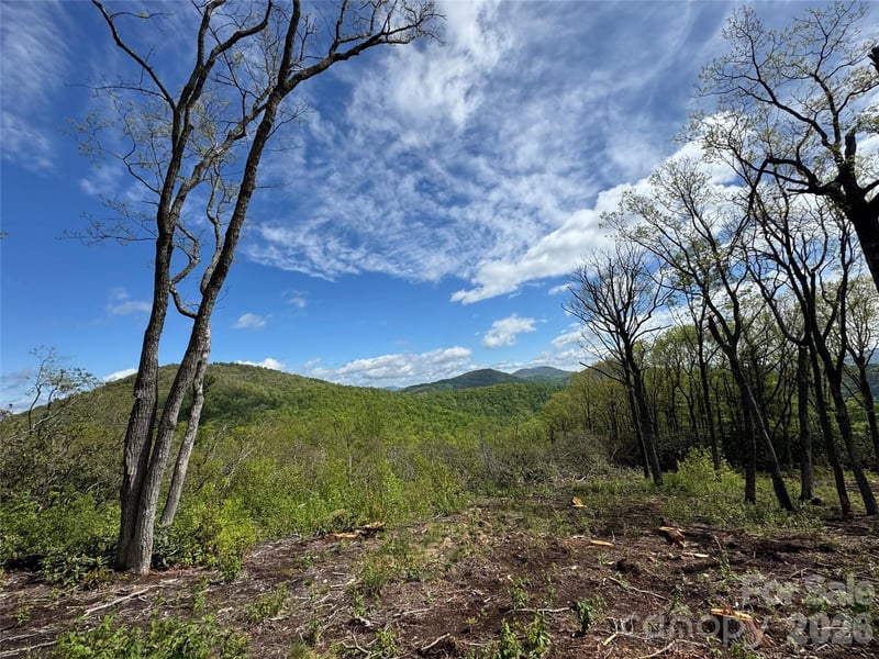 TBD E Garden Trl #45, Hendersonville, NC 28792