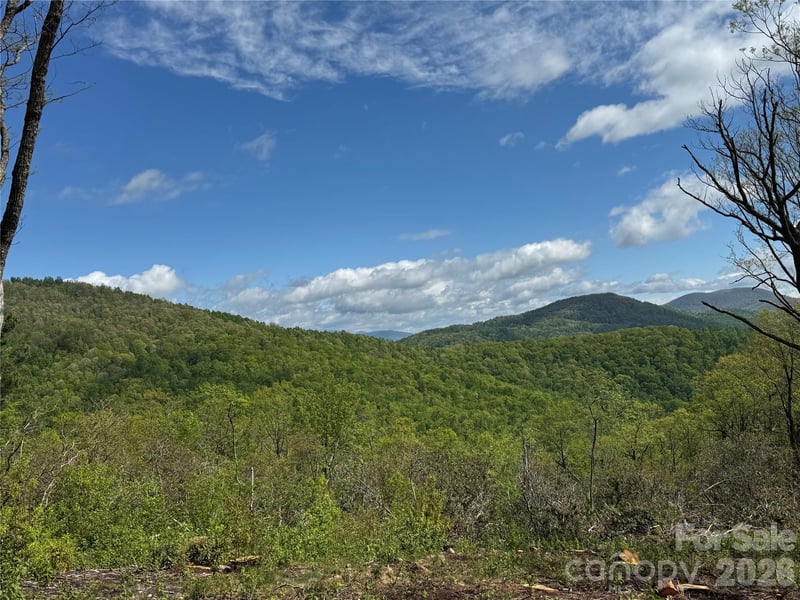 TBD E Garden Trl #45, Hendersonville, NC 28792