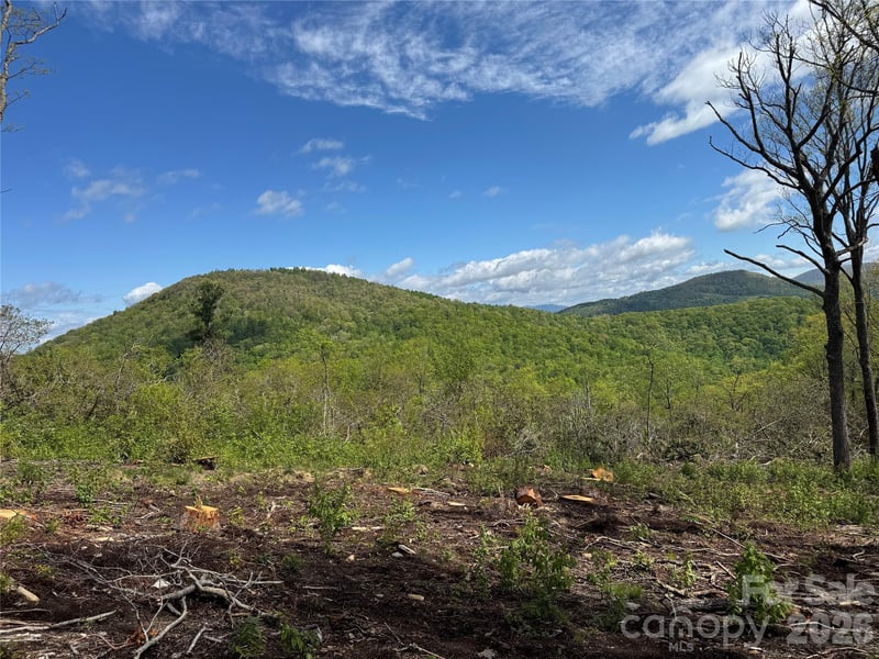 TBD E Garden Trl #45, Hendersonville, NC 28792