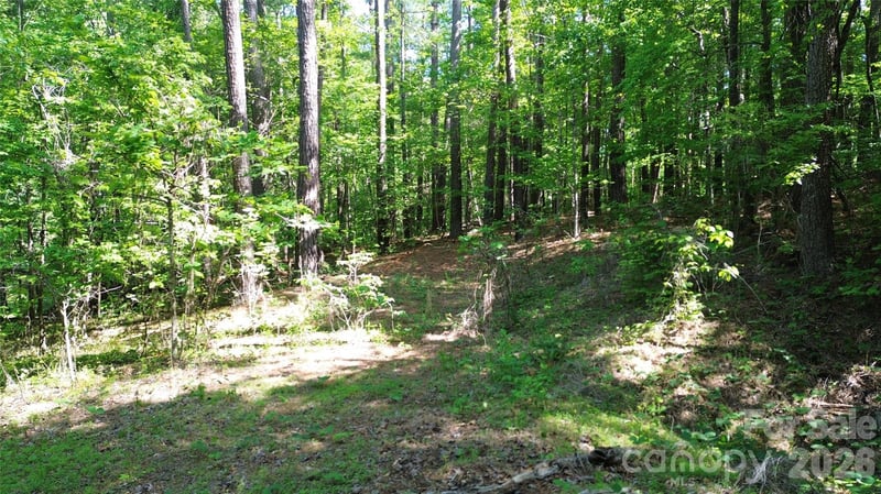 0 Island Creek Rd #1, Lake Lure, NC 28746