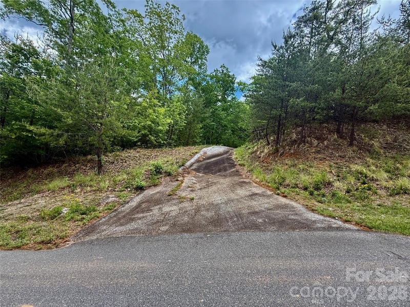 274 Bills Mountain Trl #274, Lake Lure, NC 28746
