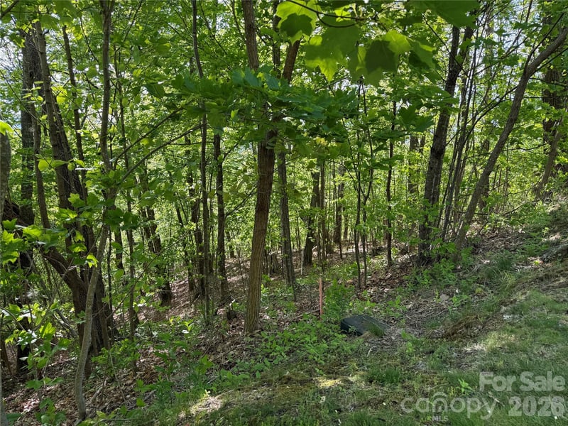 Lot 9 - 10 Andrew Banks Rd, Burnsville, NC 28714