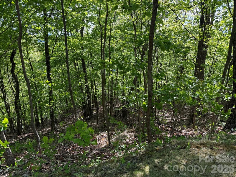Lot 9 - 10 Andrew Banks Rd, Burnsville, NC 28714